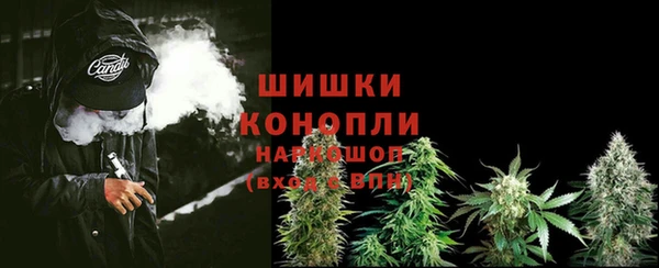PSILOCYBIN Абдулино