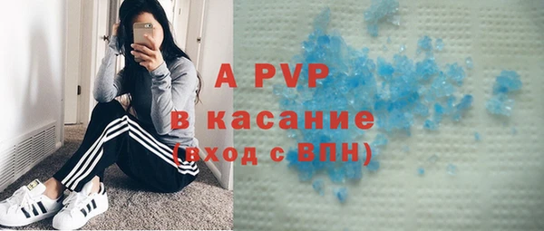 прущие крисы Абаза